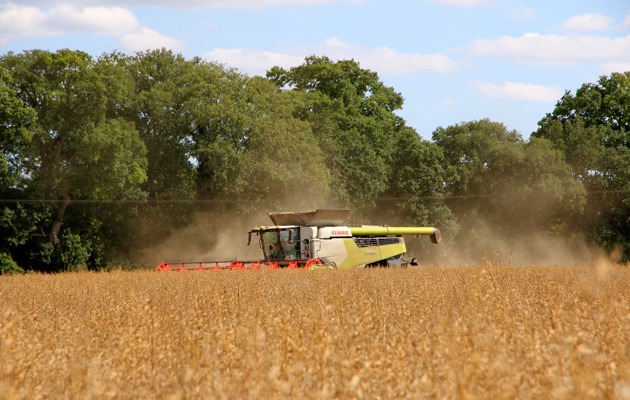 UK Harvest Update - November 2025