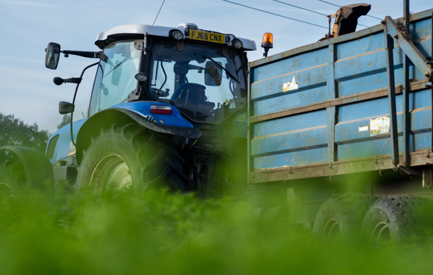 Global Mustard Market Update - March 2026