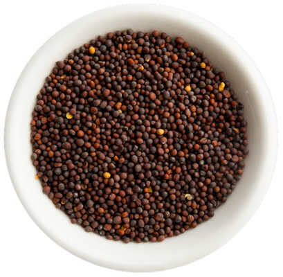 Brown (Dark Husk) Mustard Seeds Image