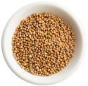 Yellow Mustard Seed