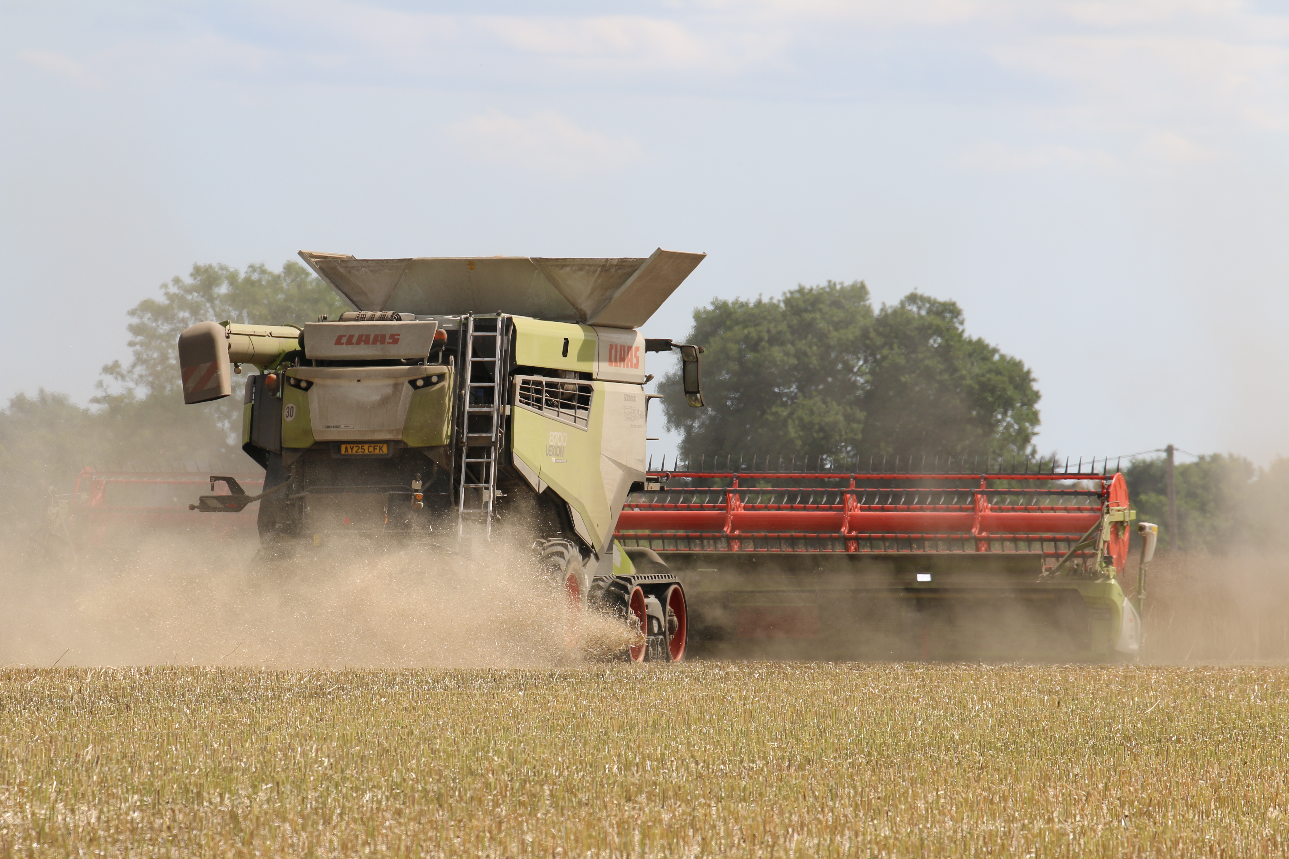 Global Harvest Update