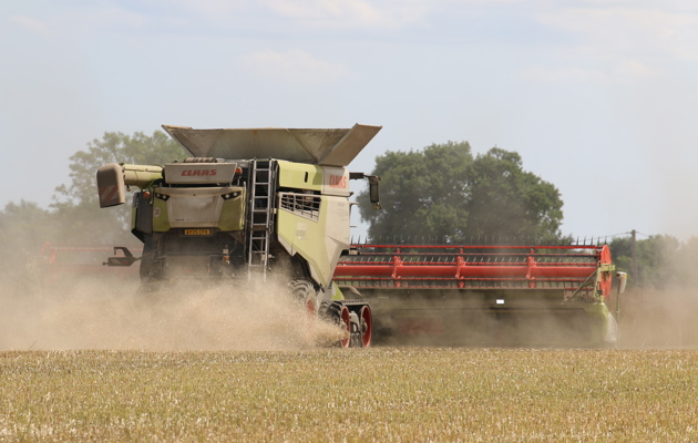 Global Harvest Update